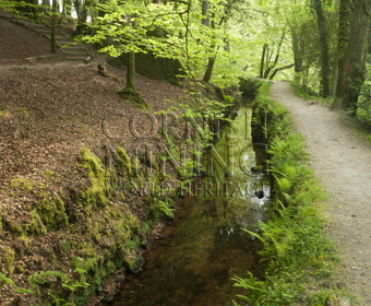 The Fowey Consols Leat, Luxulyan Valley